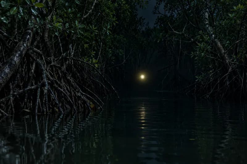 Aleya — origin and regional context — Aleya, Bengal — primarily the Sundarbans mangrove delta, and tidal marshes of southern West Bengal and Bangladesh, origin
